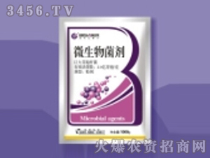 ΢�������-��ِ��