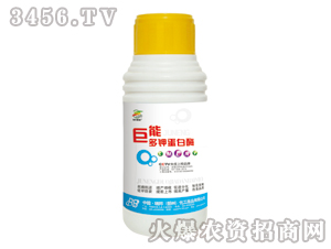 ���ܶ�⛵���ø���{(di��o)��(ji��)����-�������