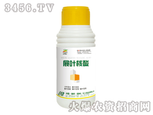 չ�~���ᣨ�{(di��o)��(ji��)����-������ƿ��