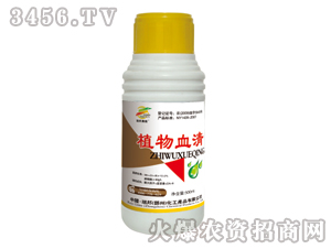 ֲ��Ѫ�壨�{(di��o)��(ji��)����-�������