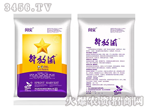 ΢�������-��ž�-�c��