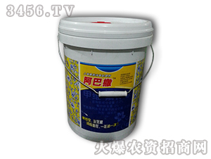 �����x��-������-����ʘI(y��)