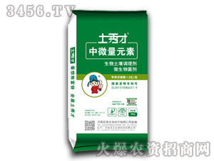 ��΢��Ԫ�ط�-�����