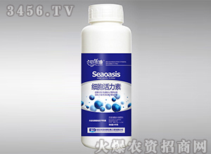 ��������ˮ�ܷ���-��(x��)��������-ؐ����-��᷾G��