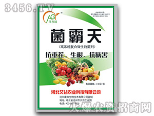 �ߝ�s�ͺ�΢�������-������-����