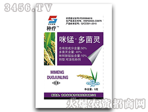 ���i������`�ɝ��Էۄ�-�N��-�L�p