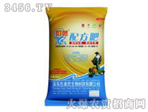 �����䷽��-������