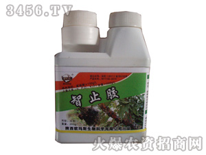 �J���Ҍ����{(di��o)��(ji��)��-��ֹ�z-�W��˹