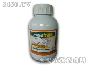 �޻������{(di��o)��(ji��)��-�������������-�W��˹