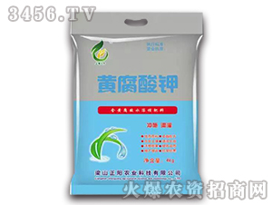 �S����⛣����b��-����r�I(y��)