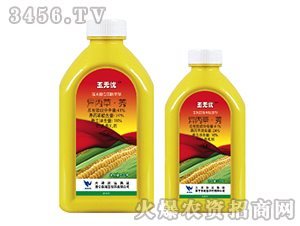 41%�����ݡ�ݬ-��o(w��)�n(y��u)-���{(l��n)�r(n��ng)ˎ