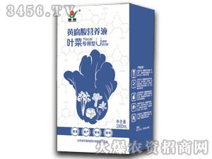 �~�ˌ����S����I(y��ng)�B(y��ng)Һ-����