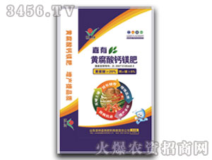 �S�����}�V��-����