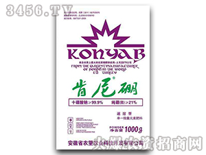 1000g΢��-������-�r(n��ng)��