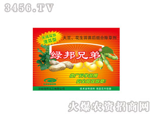 ���������݄�-�G���ֵܣ���Ч�ͣ�-�G��