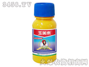 �����������݄�-��������(l��i)-�G��