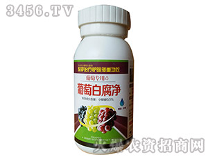 ���Ѱ׸���-�Z������