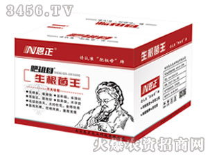 ��������-����ĸ-����