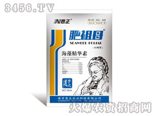 ���徫�A��-����ĸ-���� 