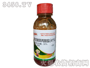 41%�ݸ�좮������}-�Z������