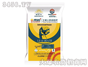 ����Ԫ�صθȷ�13-6-40+TE-����