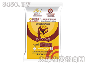 ����Ԫ�صθȷ�20-20-20+TE-����