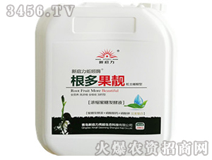 ��s���ǰl(f��)��Һ-������n-����