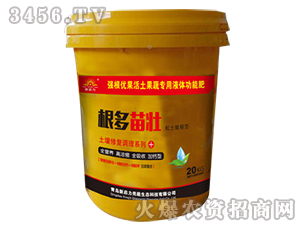 �����ޏ�(f��)�{(di��o)�턩-�������-����