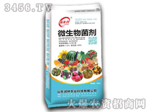 ΢�������40kg-���S��-�����r(n��ng)�I(y��)