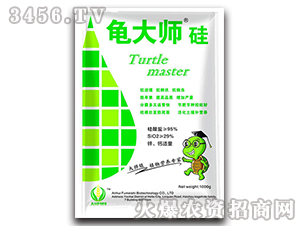 ��һ΢��Ԫ�ع��-����-������