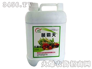 ΢�������-������-�����r�I(y��)