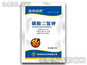 ��������-����ｳ-�����_