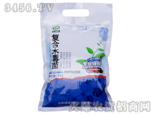 �ͺ�ľù��-�G�]����