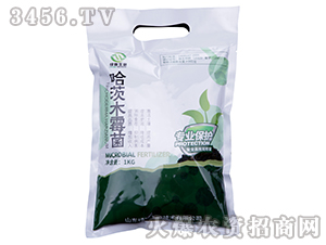 ����ľù��-�G�]����