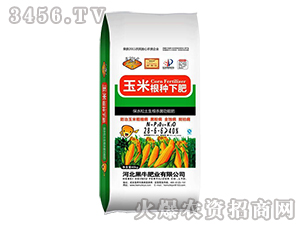 ���׸��N�·�28-6-6-��ţ