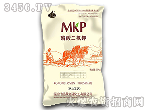 20kg��������-��������