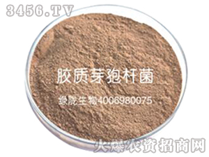 �z�|ѿ�ߗU��-�G�]����