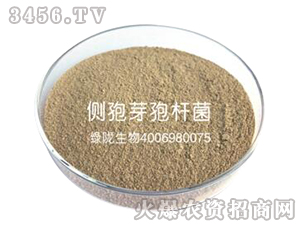 ����ѿ�ߗU��100-�G�]����