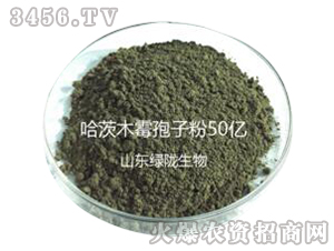 ����ľù-�G�]����