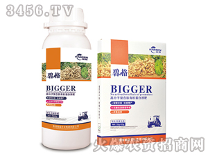 ��������ø߷��ӏ�(f��)�����ЙC(j��)����Һ��-�̸�-�ɭ