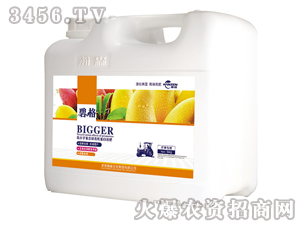 â�����ø߷��ӏ�(f��)�����ЙC(j��)����Һ�ʣ����b��-�̸�-�ɭ