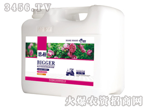 ������ľ���ø߷��ӏ�(f��)�����ЙC(j��)����Һ�ʣ����b��-�̸�-�ɭ