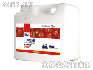 ��ݮ�{(l��n)ݮ���ø߷��ӏ�(f��)�����ЙC(j��)����Һ�ʣ����b��-�̸�-�ɭ