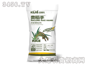 ˎ���w����-�F����-�к�����