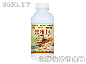 ֲ���{����-���S�}-�挚