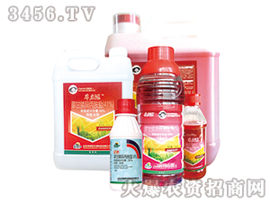 41%�ݸ�좮������}ˮ��-������-�G�µ�