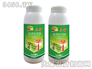 ���ǰ�����ˮ��-����-�G�µ�