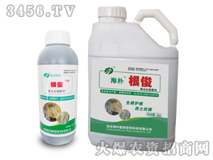 �ͺ��������-����-����