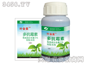 5%�࿹ù��-�~����-����