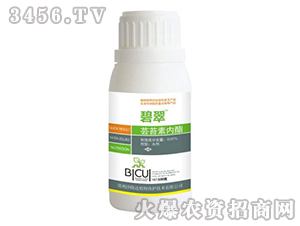 �|̦�؃�(n��i)��������-�̴�-ɳ¡�_(d��)